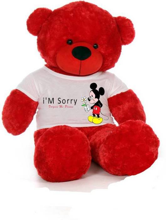 sorry with teddy