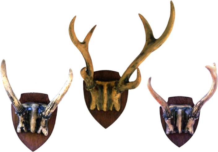 Mohangifts Buck Deer Antlers Resin Wall Hanging Set Of 3 Sizes