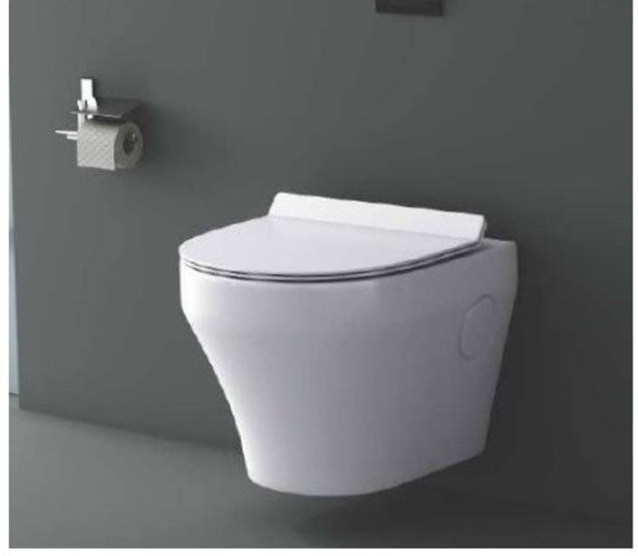 Gcera Ceramic Oval Water Closet With Seat Cover White Western
