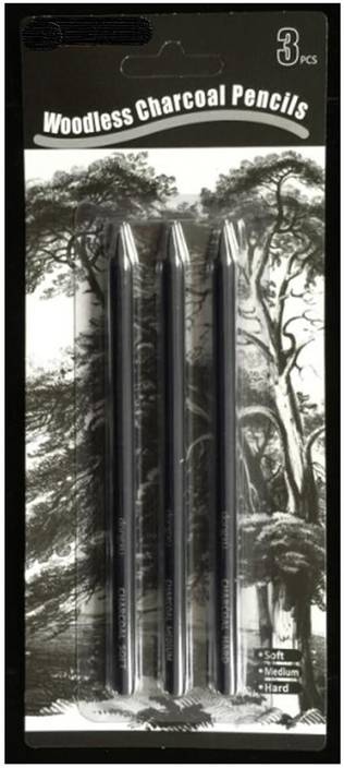 Eye On Europe All Of The Woodless Charcoal Pencils