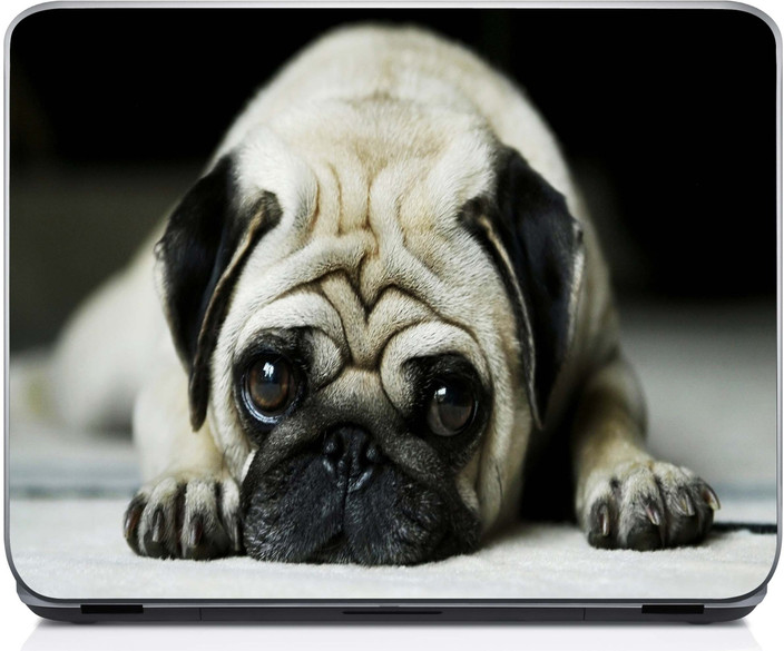 vodafone dog original price