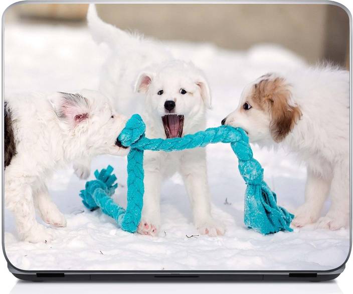 Holicshop Puppies Puppy Baby Dog Dogs High Resolution Vinyl