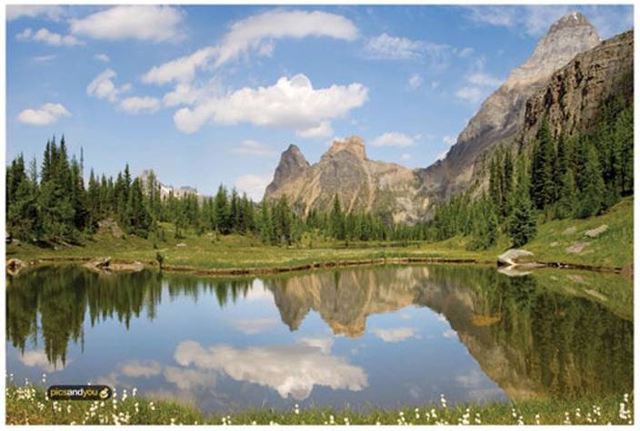 Pics And You Nature Themed 554 Digital Reprint 12 Inch X 18