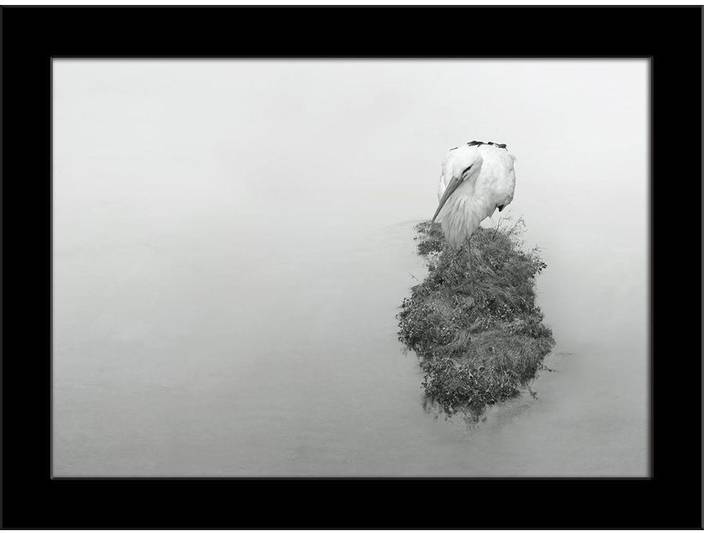 Artzfolio Beautiful Aquatic Bird Crane Framed Art Print