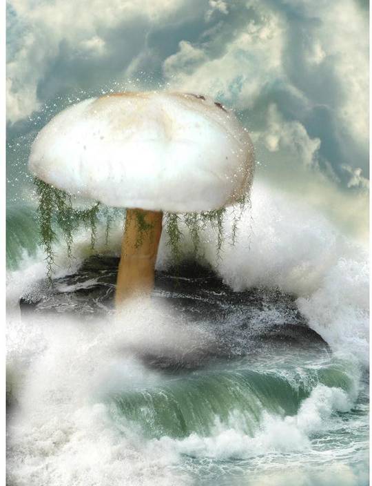 Pitaara Box Fantasy Mushroom In The Sea Framed Wall Art