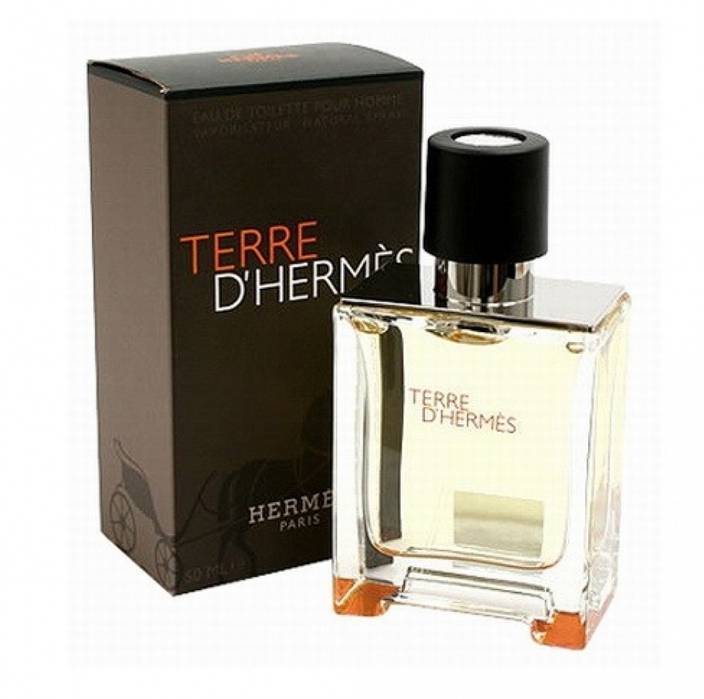 Buy Hermes Terre D Hermes Edt 50 Ml Online In India Flipkartcom
