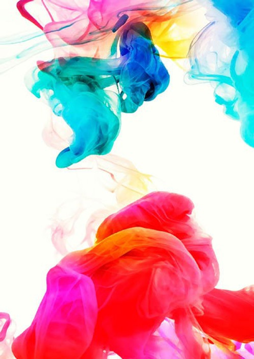 BARBII PRINT Choose Size /& Media Type Canvas or Poster F