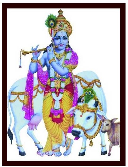 lord krishna 12 canvas