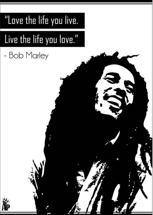 Informative outline for bob marley essay image