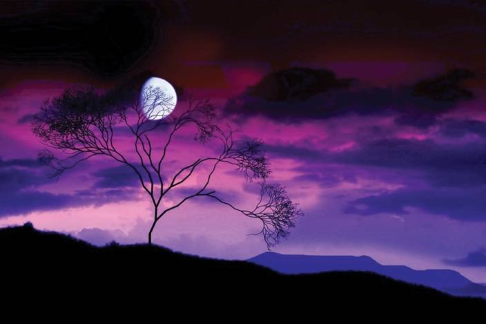 dark night scenery paper