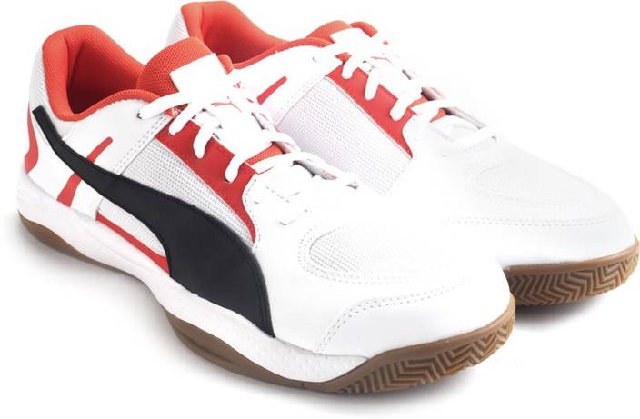 puma veloz puma veloz