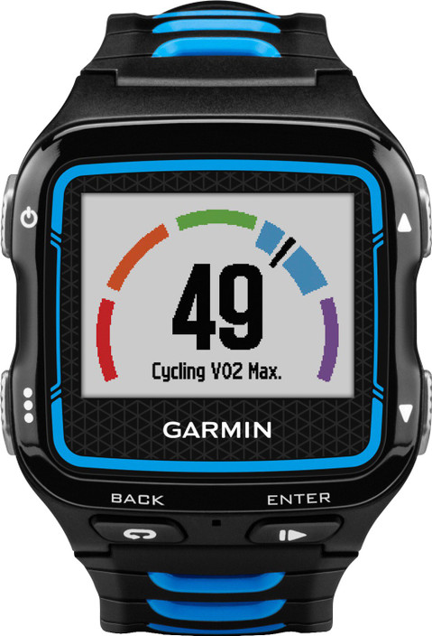 garmin forerunner 238