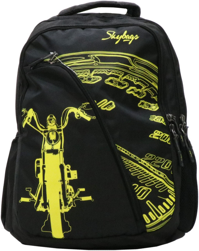 SKYBAGS Flash 01 Black 15 L Laptop 