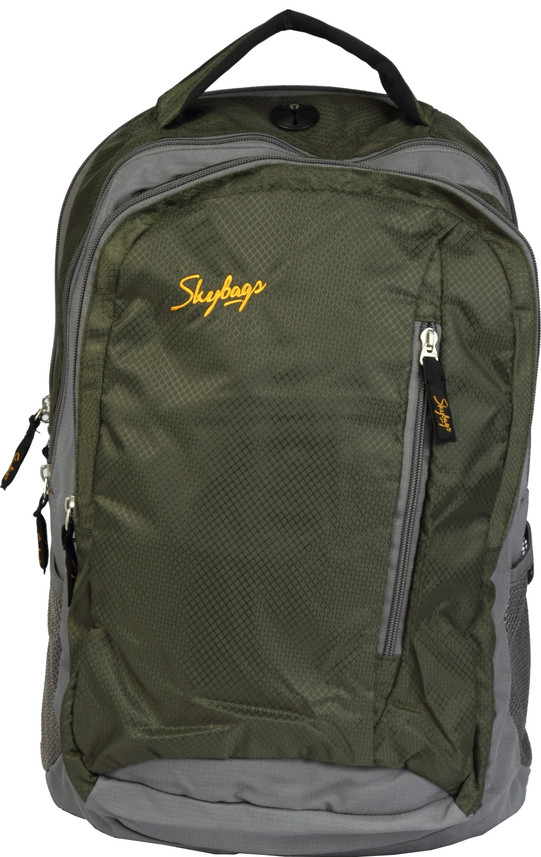 skybags flipkart