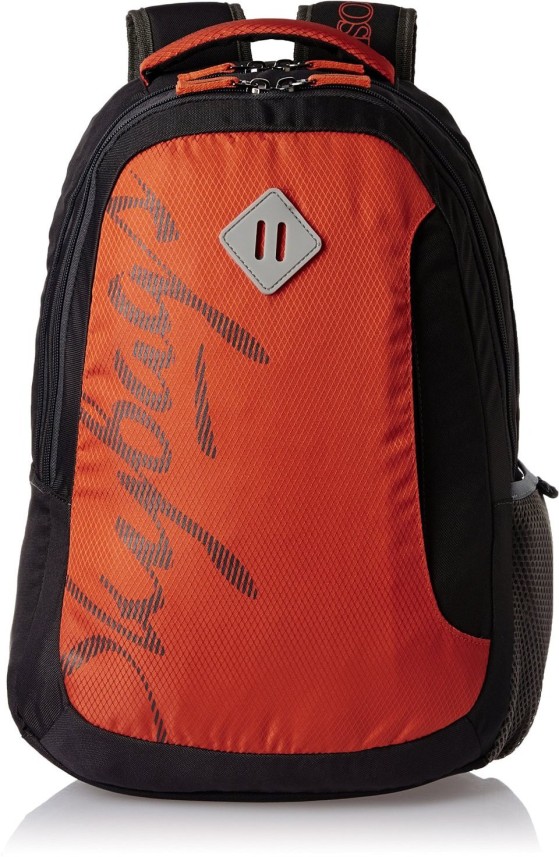 sky bag price in flipkart