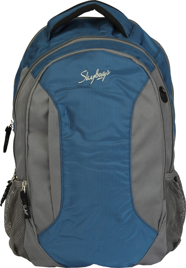 skybags laptop bags flipkart