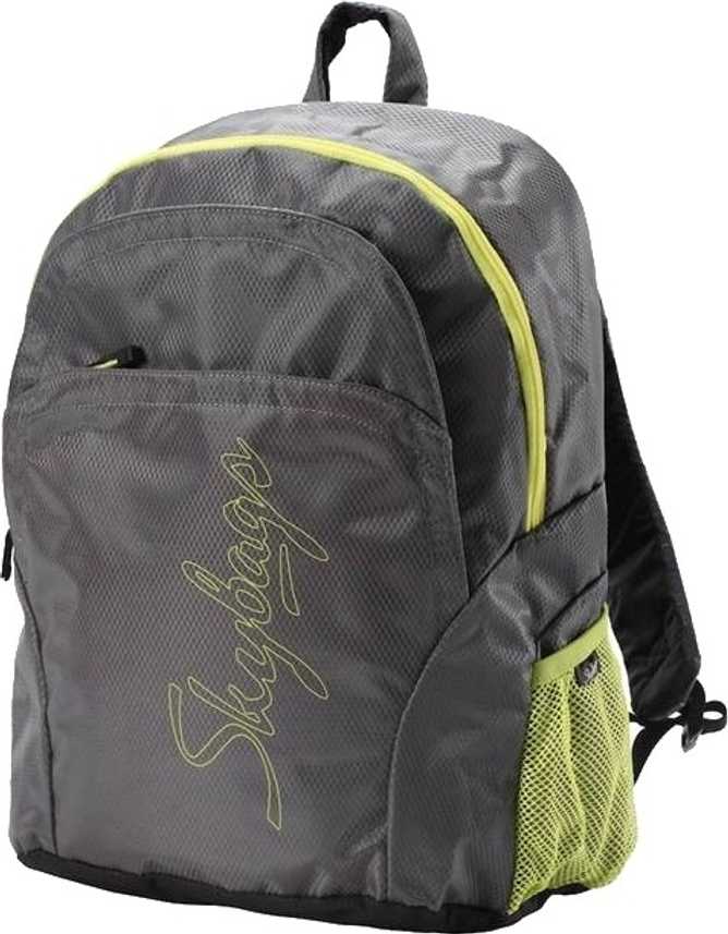 Skybags Pulse 02 Small Backpack Grey Price In India Flipkart Com
