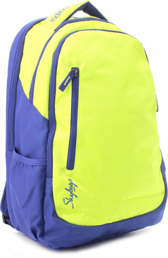 flipkart sky bag