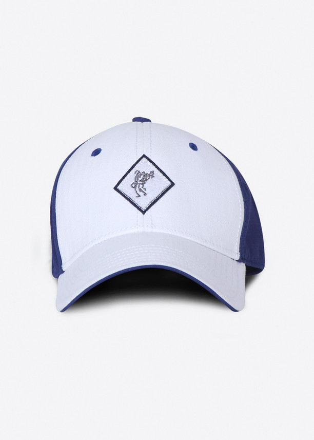 Navy Ashworth Solid Cap 