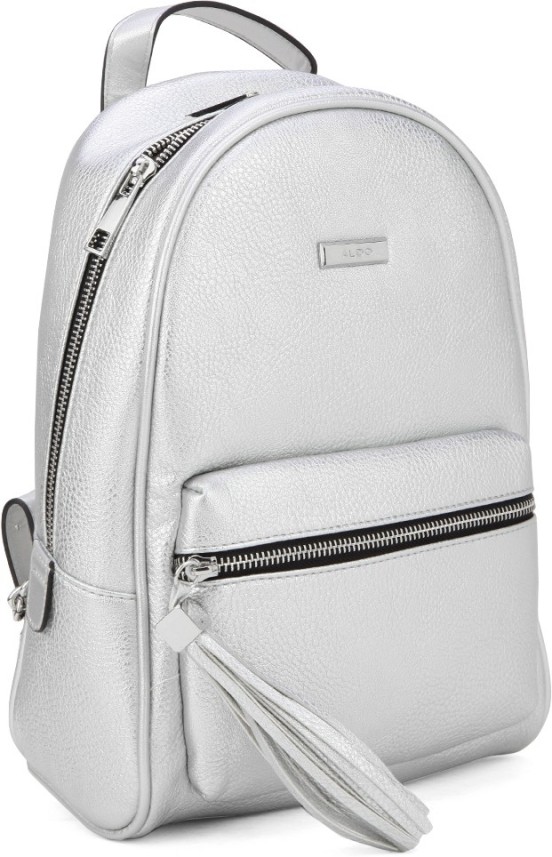 ALDO ACENARIA 1 L Backpack Silver W 