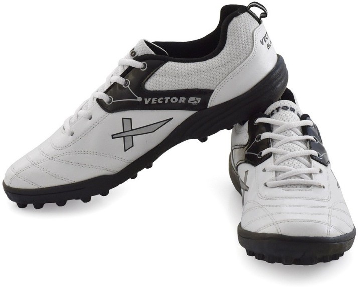 vector cricket shoes