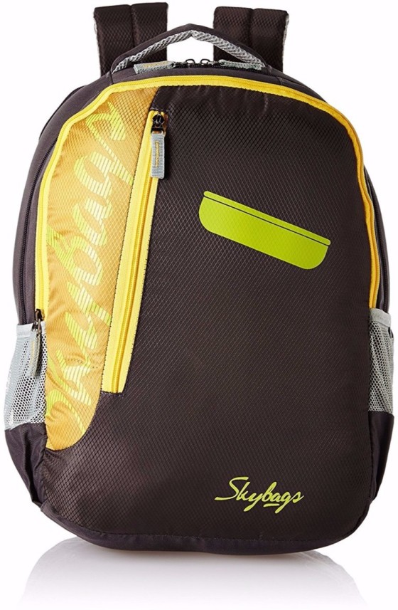 skybags flipkart