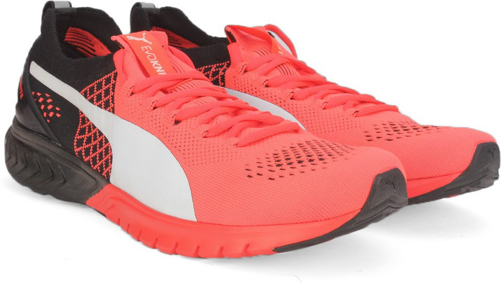 puma ignite dual evoknit