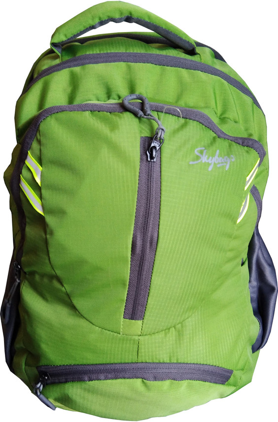 skybags laptop bags flipkart