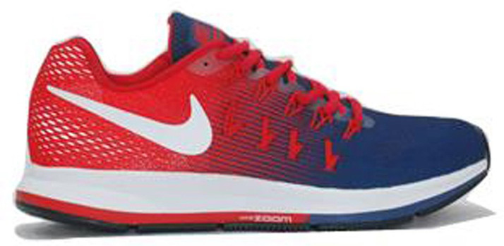 nike pegasus 33 price in india