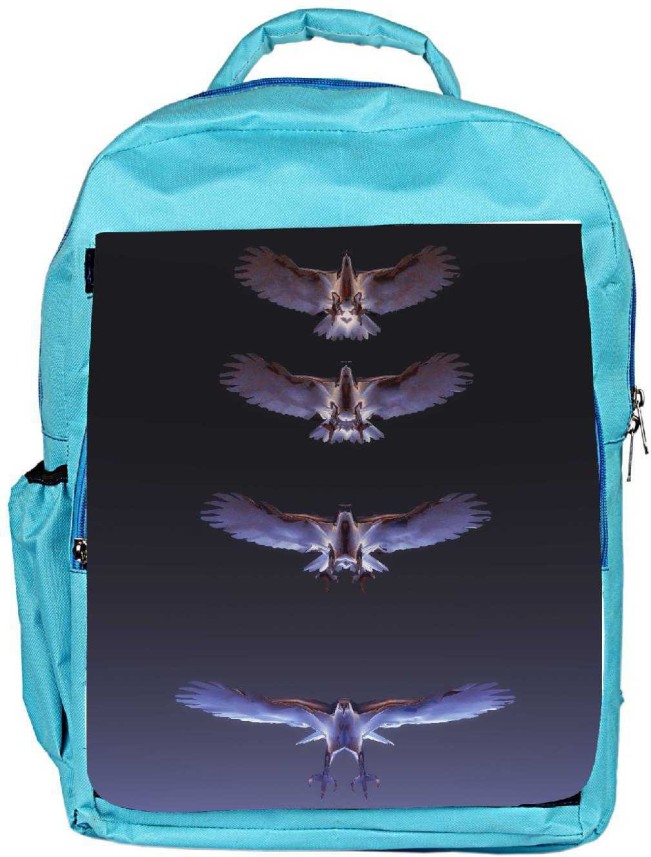 eagles bookbag