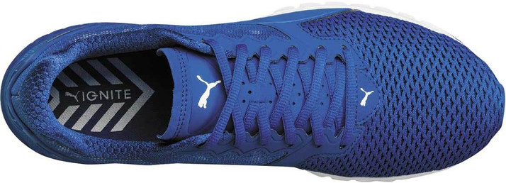 puma ignite dual mesh