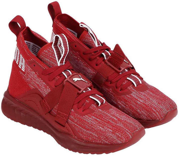 puma ignite evoknit dame