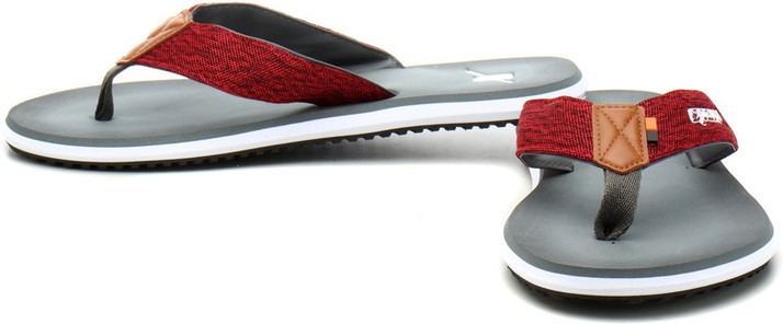 sparx sfg 51