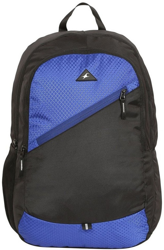 fastrack backpack flipkart