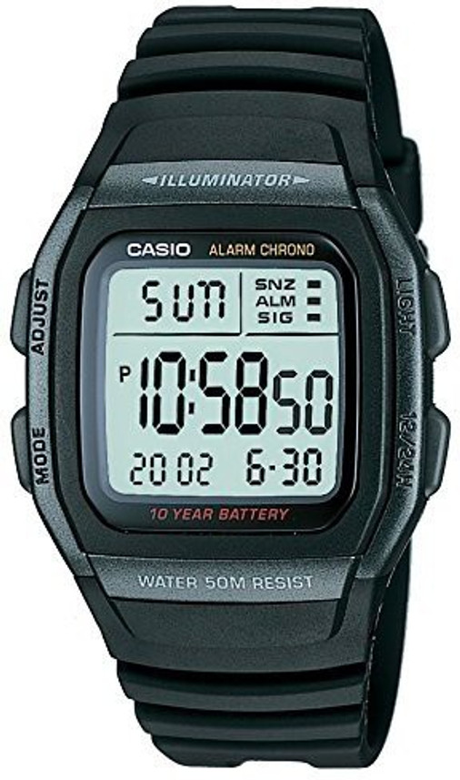 casio d031