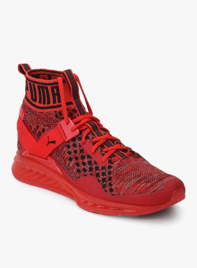 puma ignite evoknit red