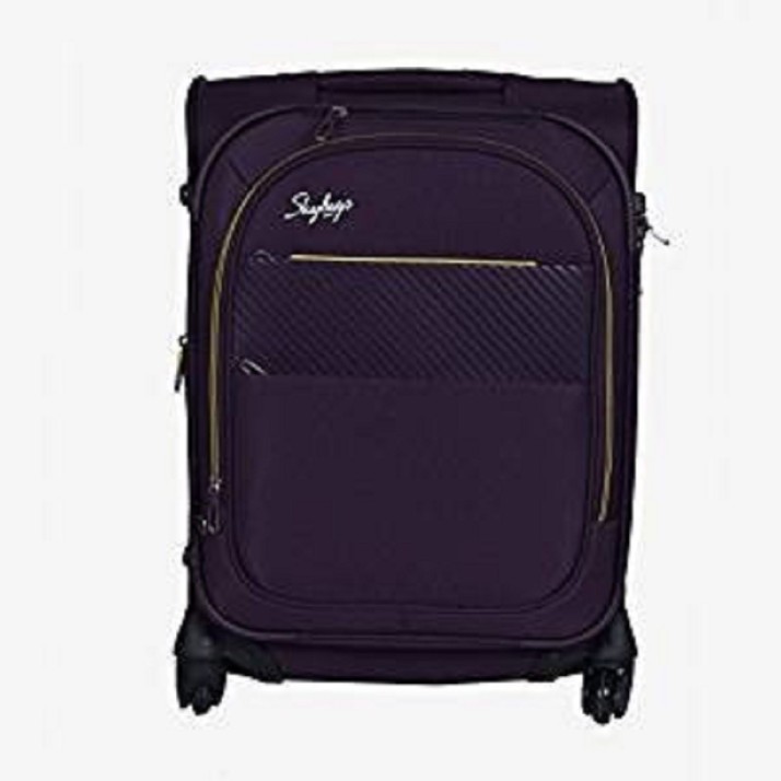 skybags flipkart