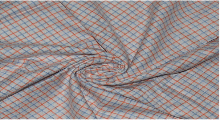 Raymond Giza Cotton Checkered Shirt 