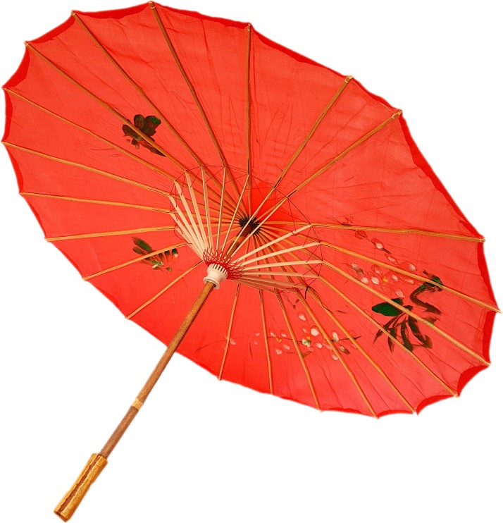 fancy umbrella for kids