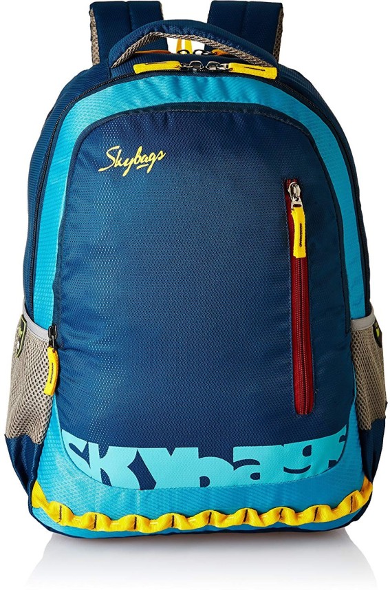 flipkart offers on skybags