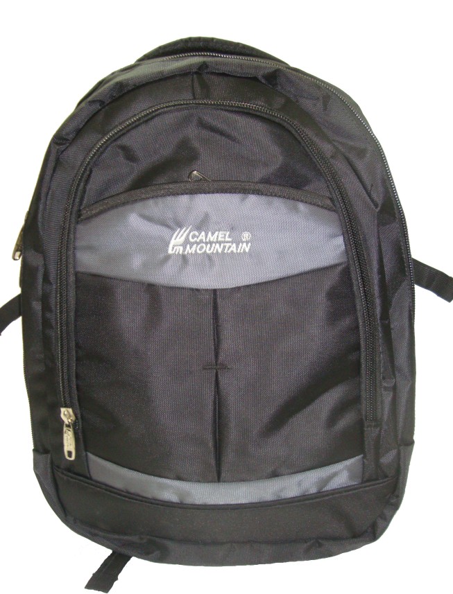 mountain bags flipkart