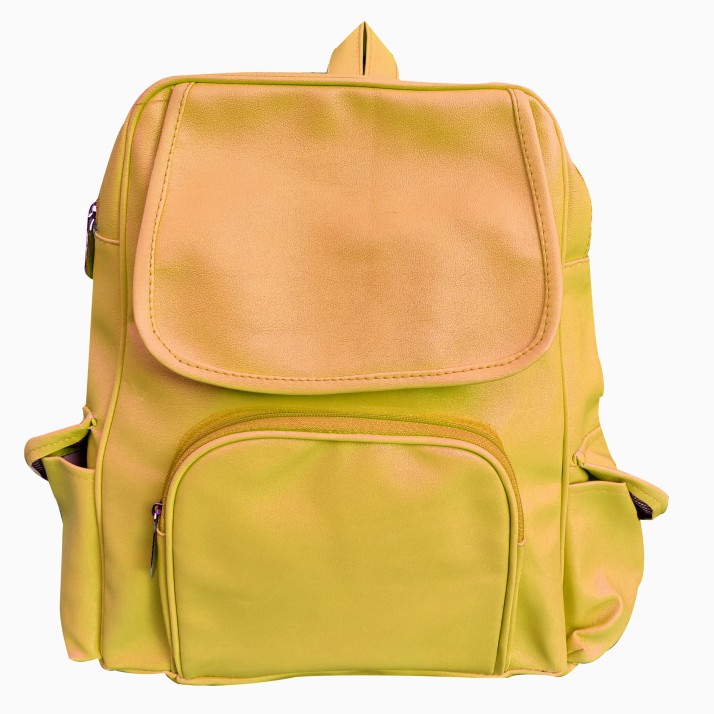backpack bags flipkart