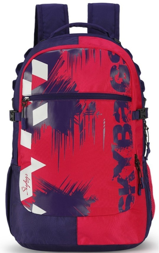 flipkart bags skybags