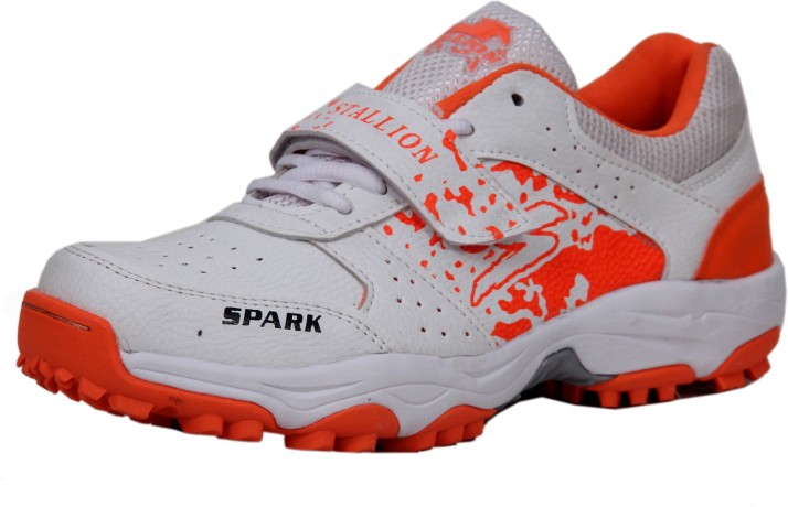 cricket sports shoes