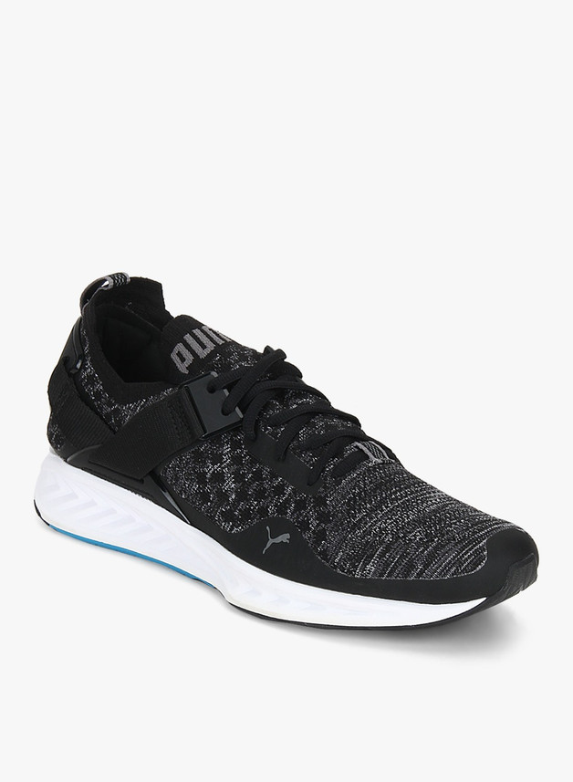puma ignite evoknit men 2014