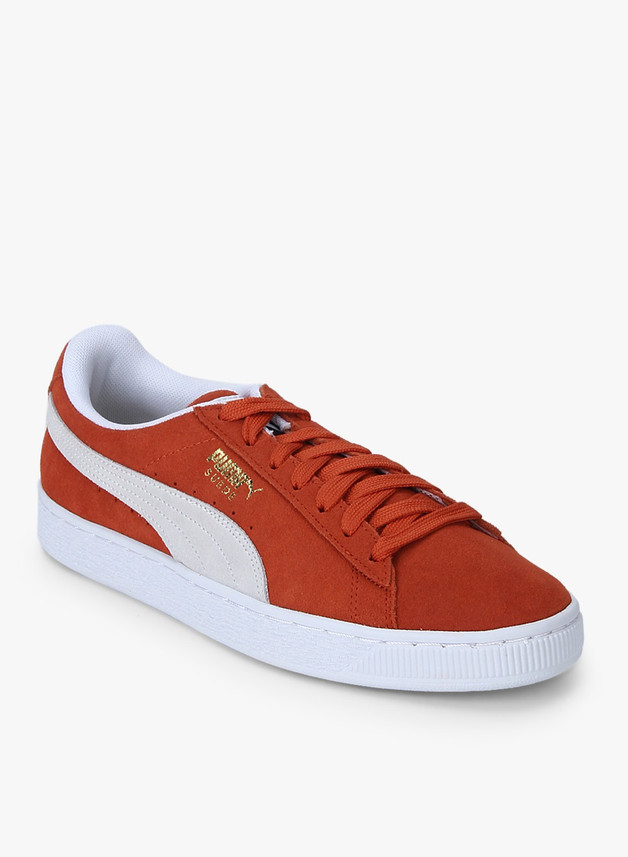 puma canvas shoes flipkart