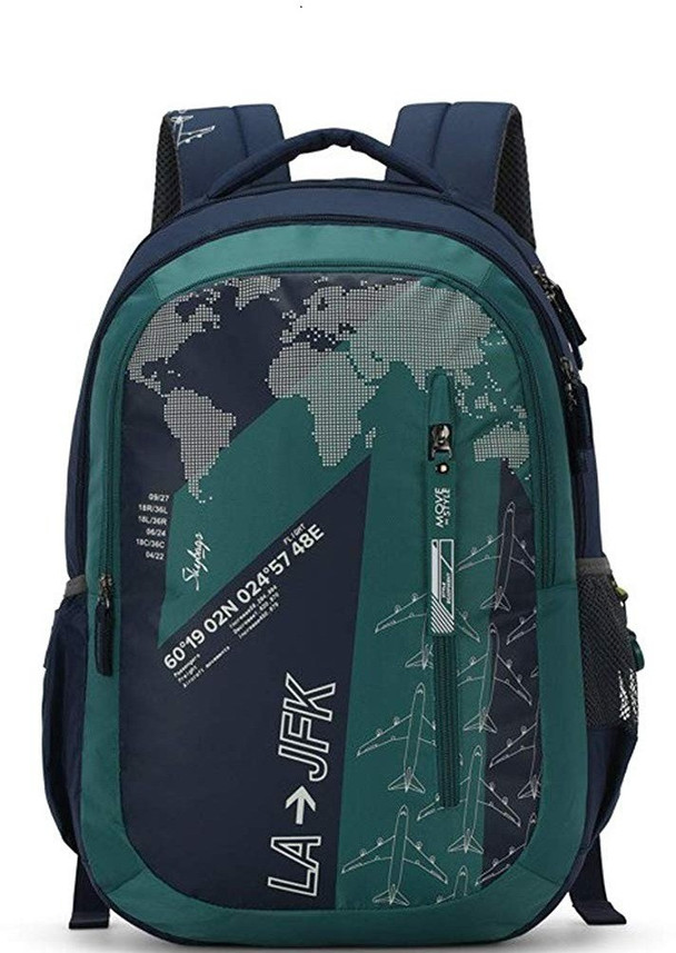 SKYBAGS Figo Plus 03 34 L Backpack 