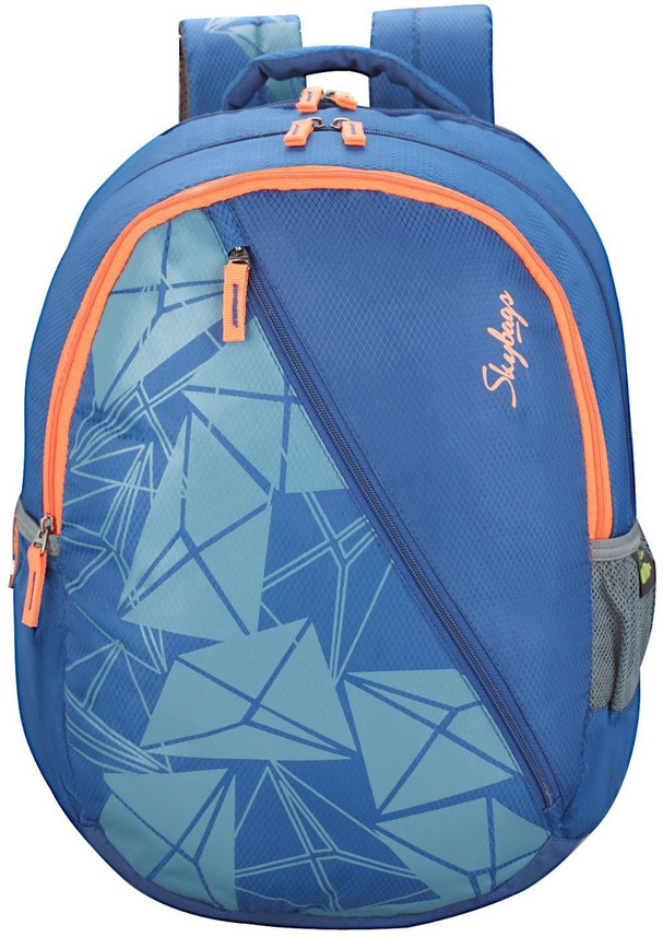 skybags flipkart