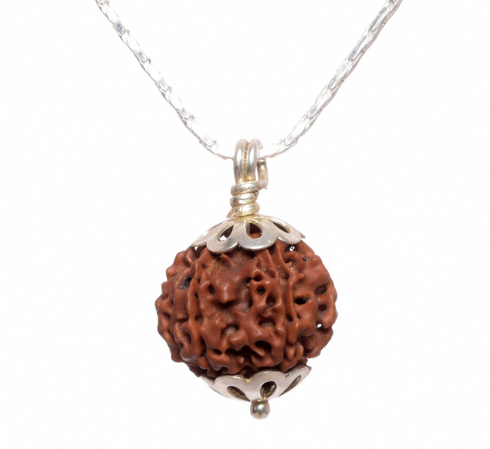 Parashara ARKAM Six Mukhi Rudraksha 