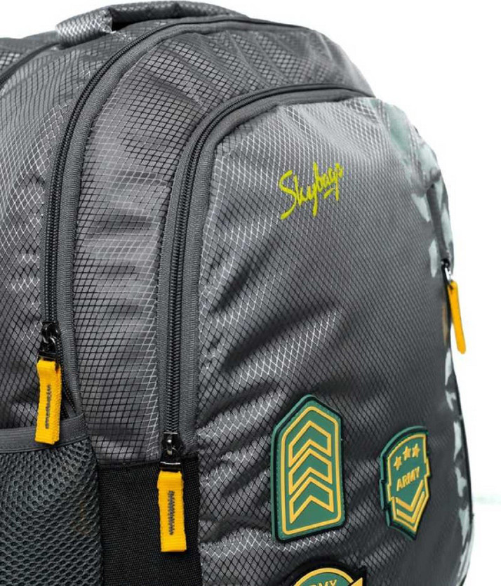 flipkart sky bags